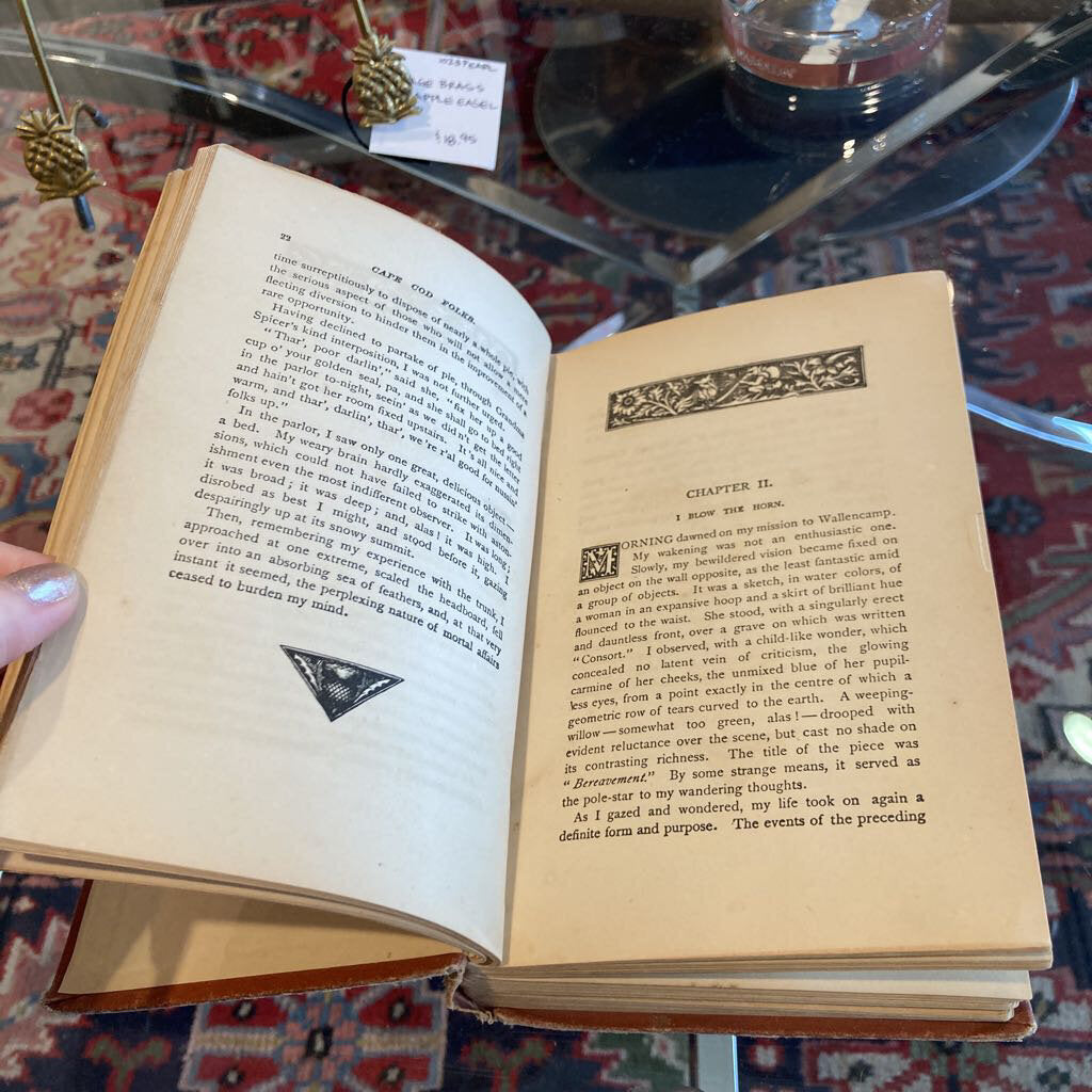 Antique 1881 Cape Cod Folks A Novel