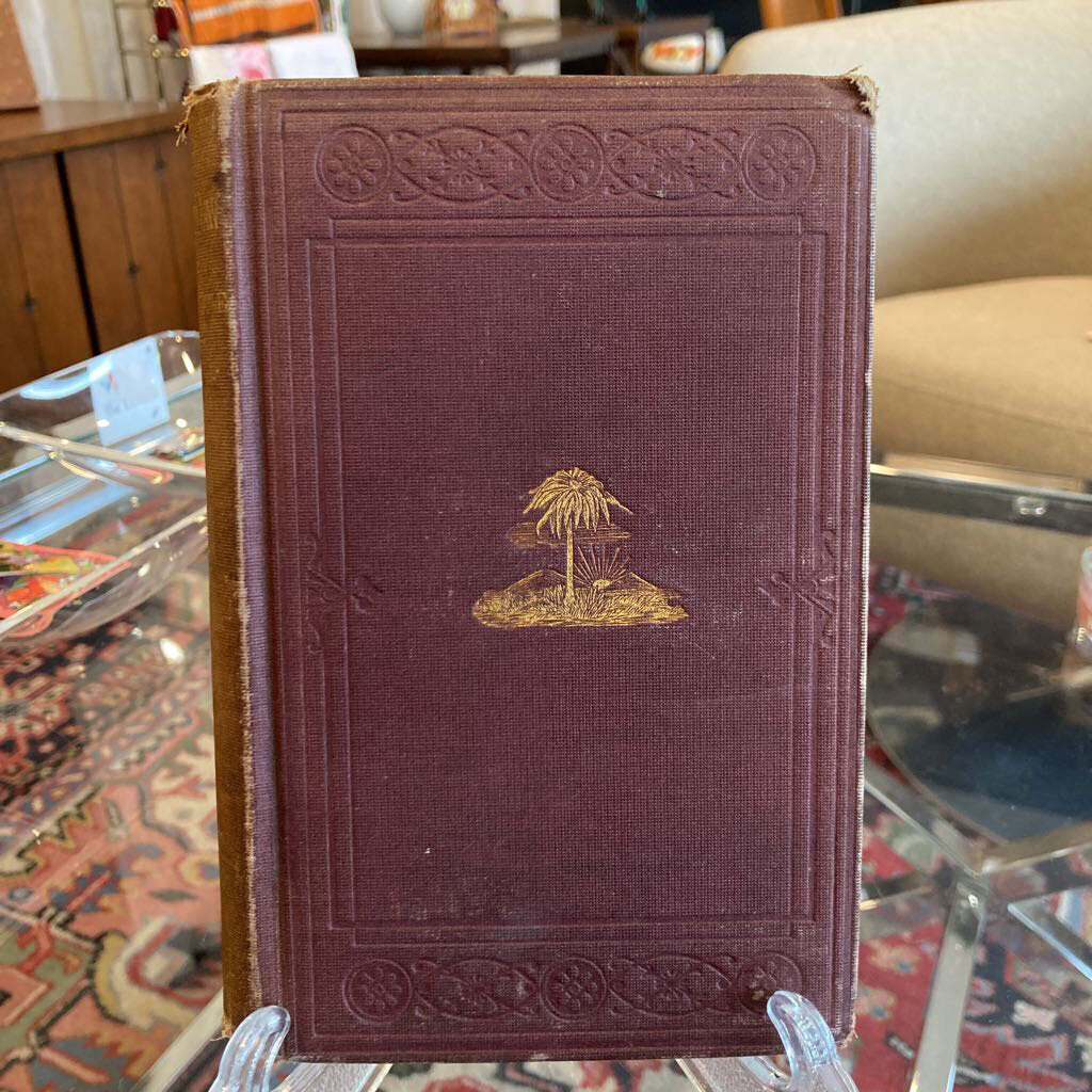 Antique 1873 Marjorie Daw & Other People