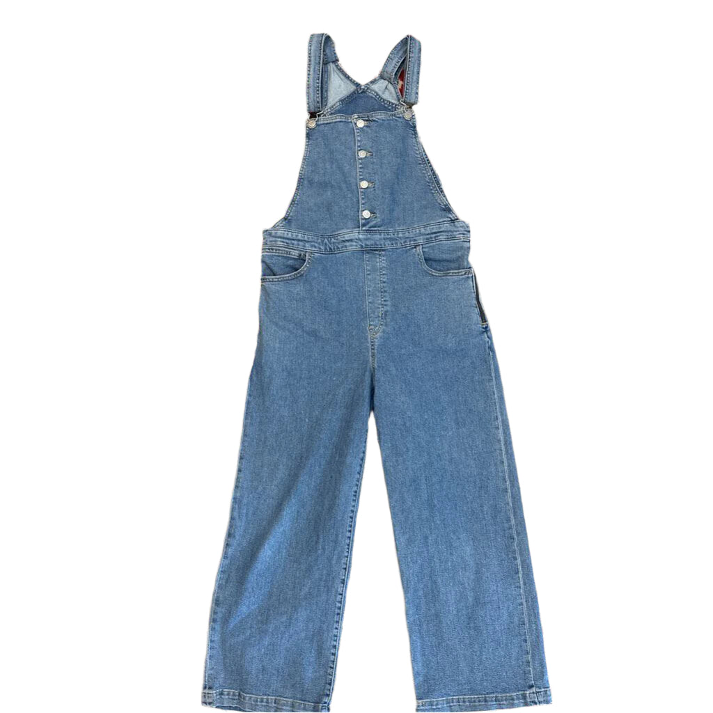 Levis Denim Overalls