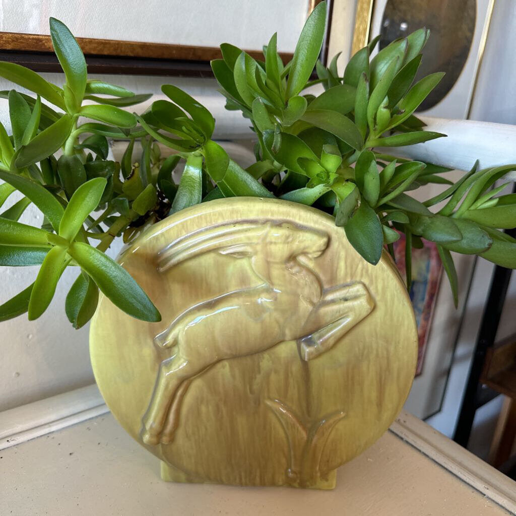 Green Gazelle Gondor original Planter
