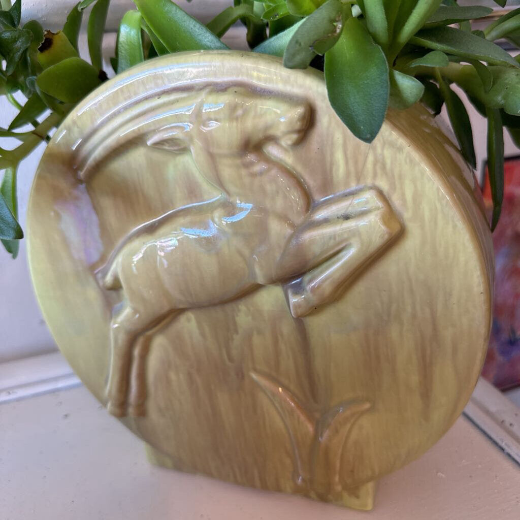 Green Gazelle Gondor original Planter