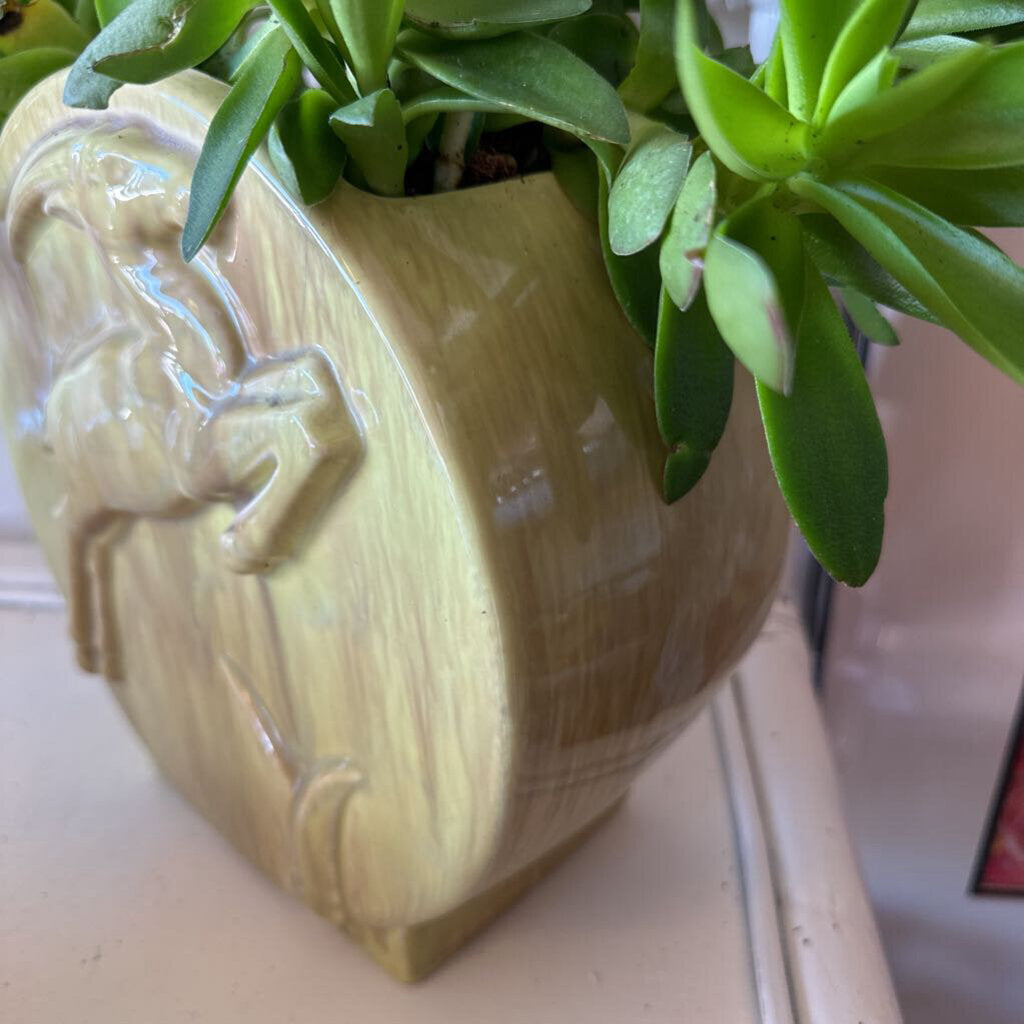 Green Gazelle Gondor original Planter
