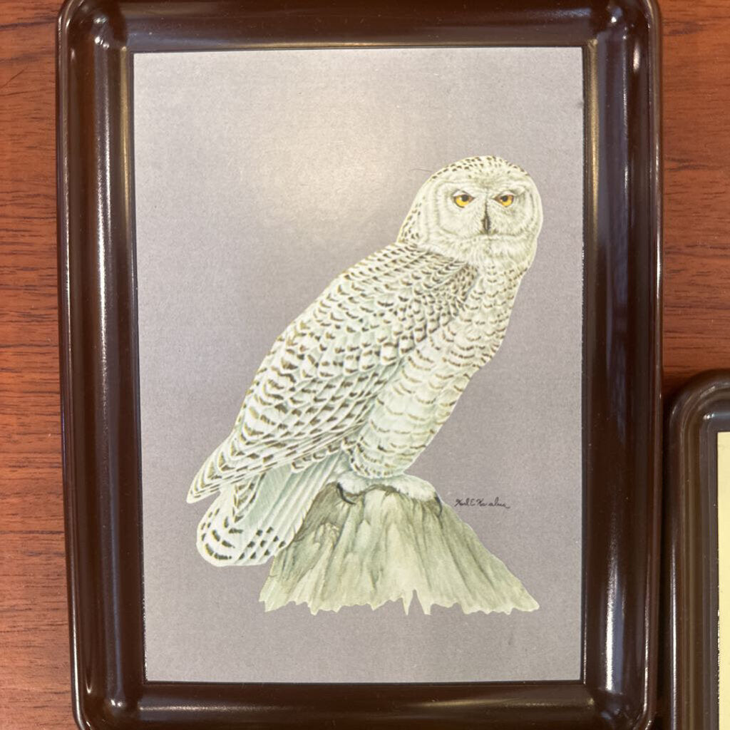 Set of 5 Vintage Karalus Owl trays