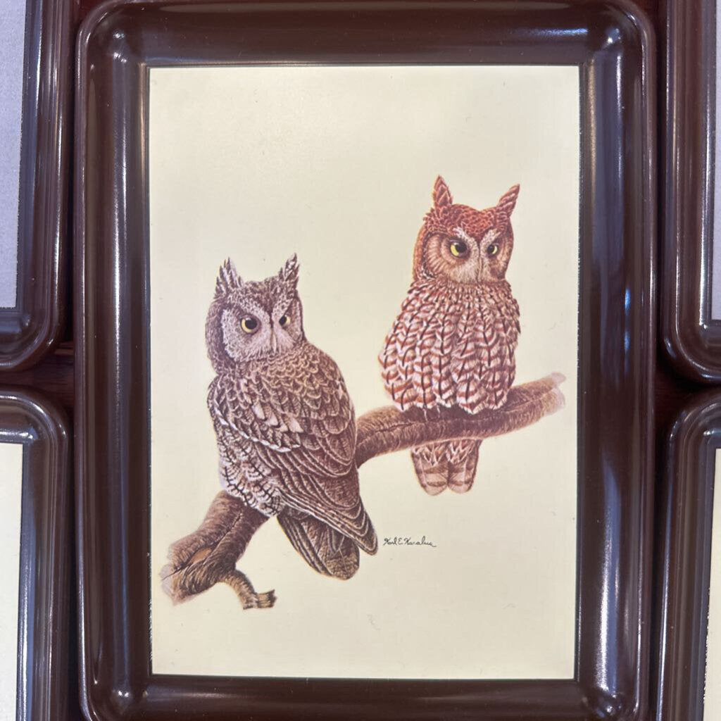 Set of 5 Vintage Karalus Owl trays