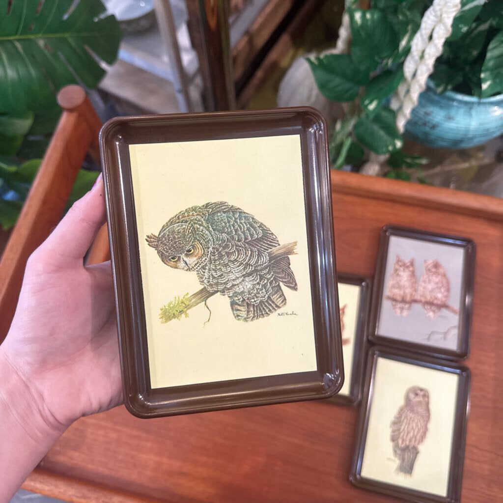 Set of 5 Vintage Karalus Owl trays