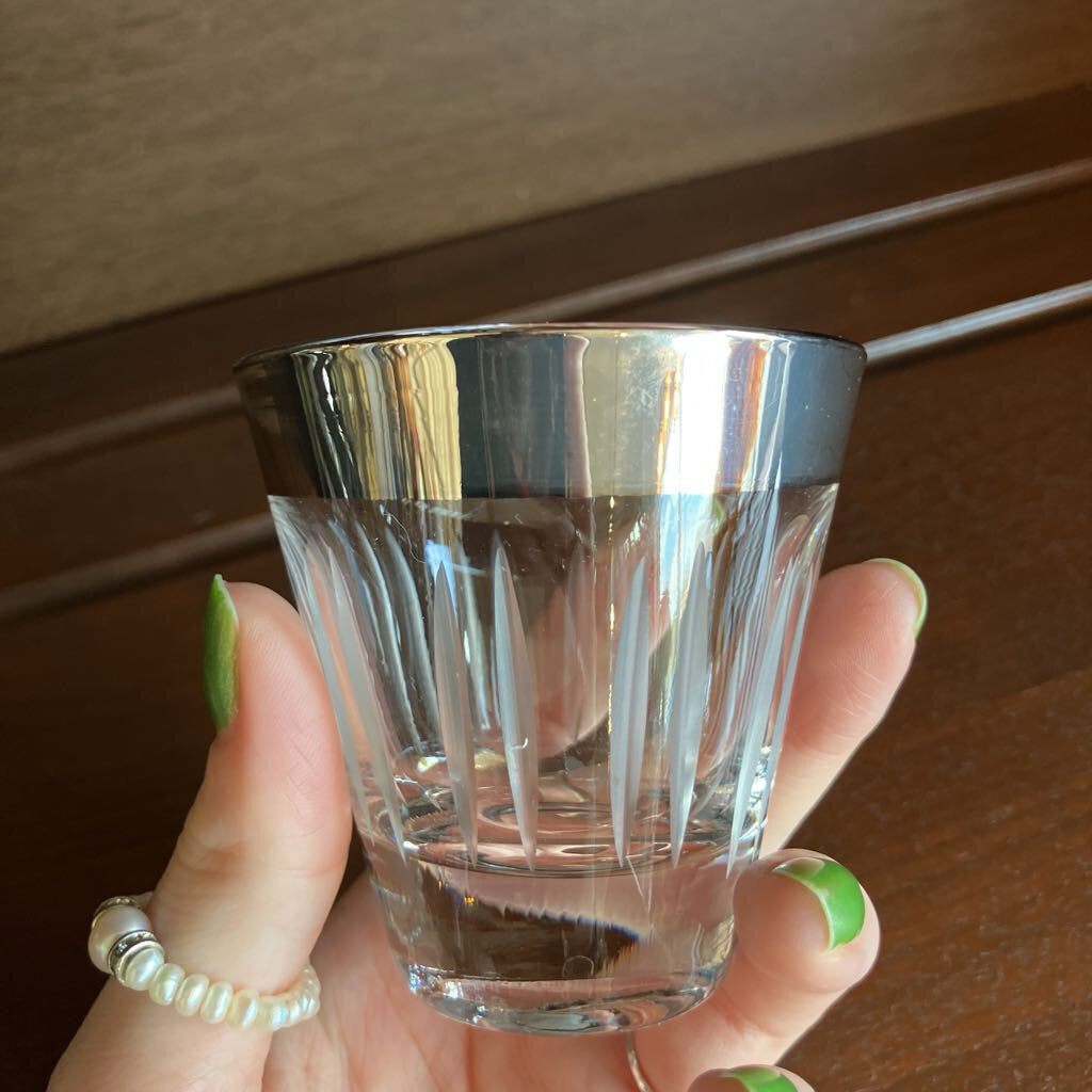 Vintage Set of 6 Silver Rimmed Carved Glass Shooter Glasses