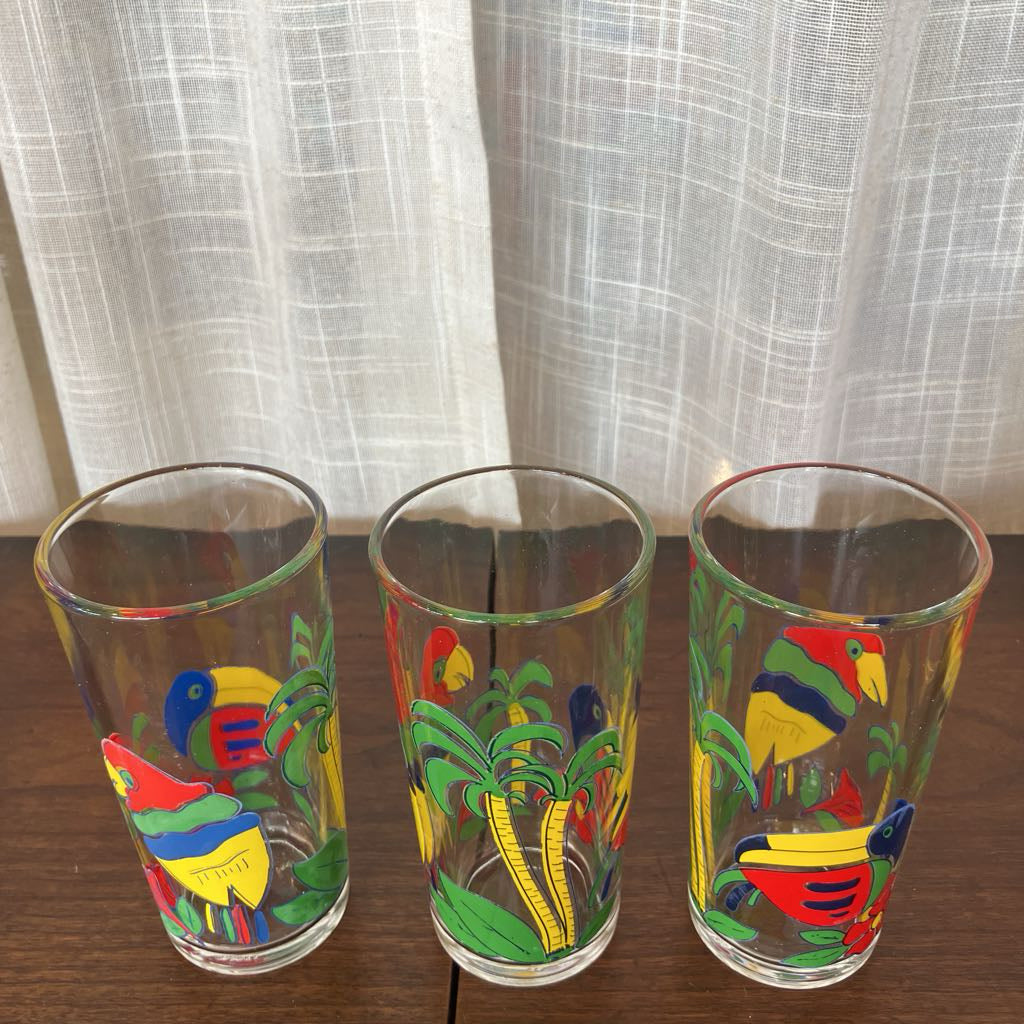 Vintage Toucan Tumbler & Pitcher Set