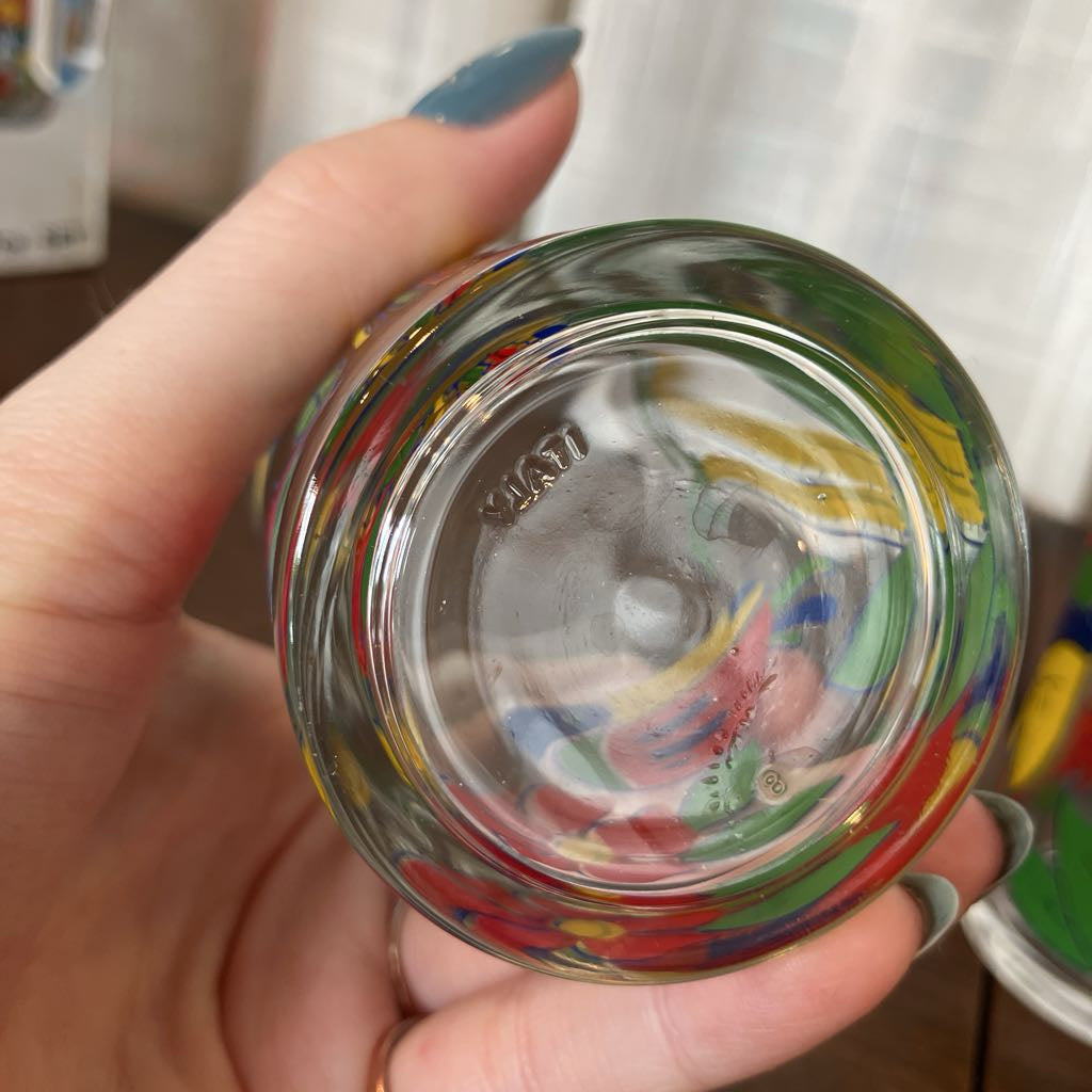 Vintage Toucan Tumbler & Pitcher Set