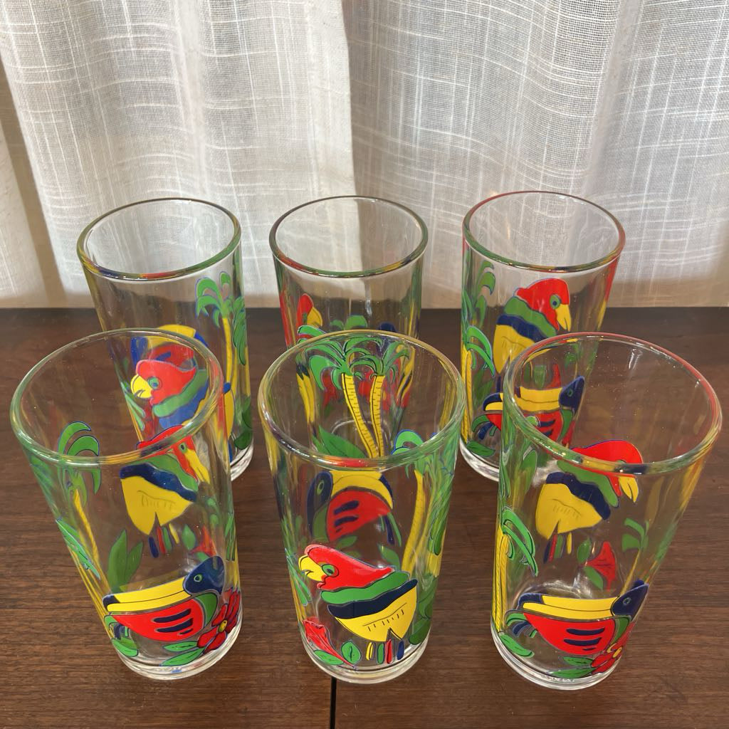 Vintage Toucan Tumbler & Pitcher Set