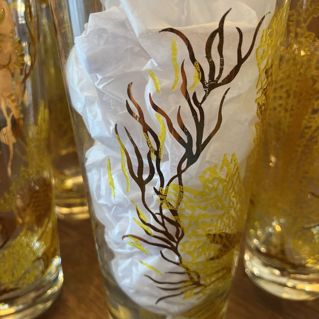 Mid-Century Bartlett Under the Sea Collins Glasses