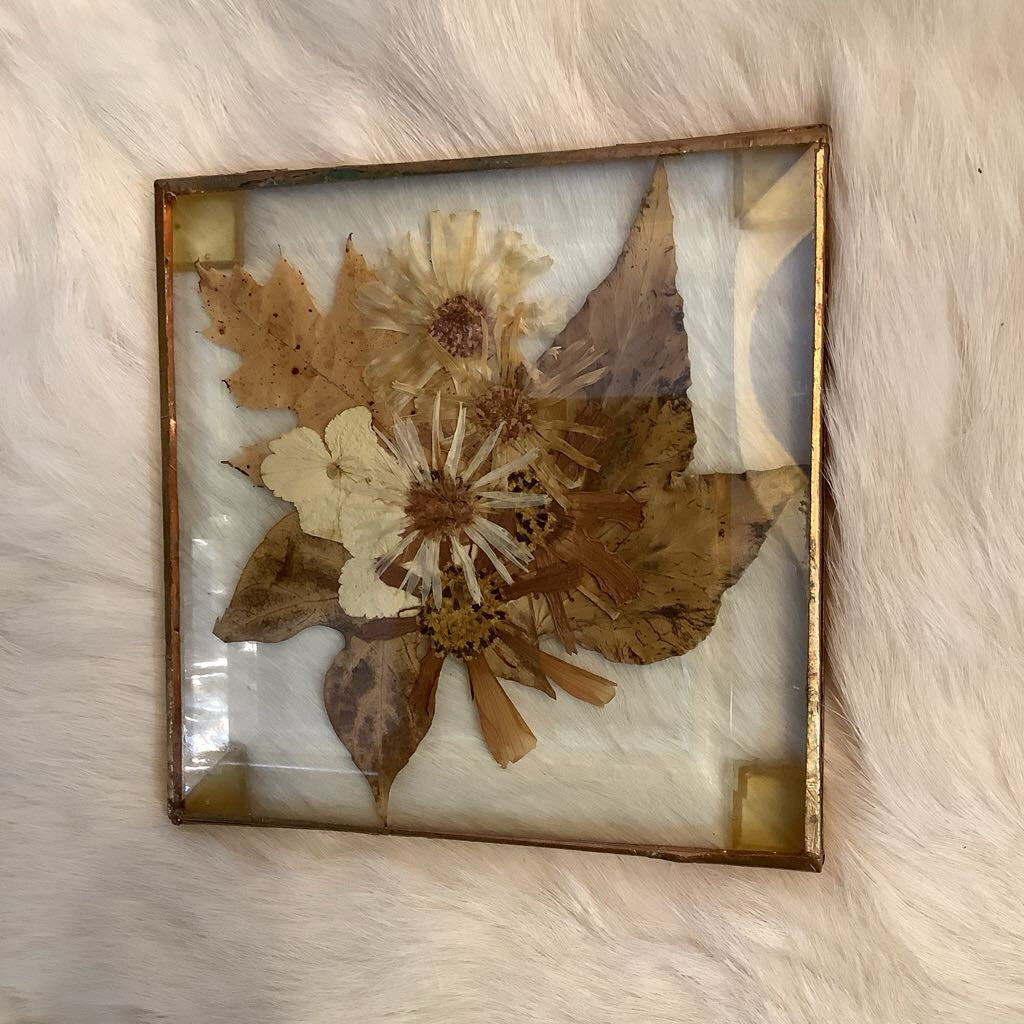 Pressed Flowers Coasters Set