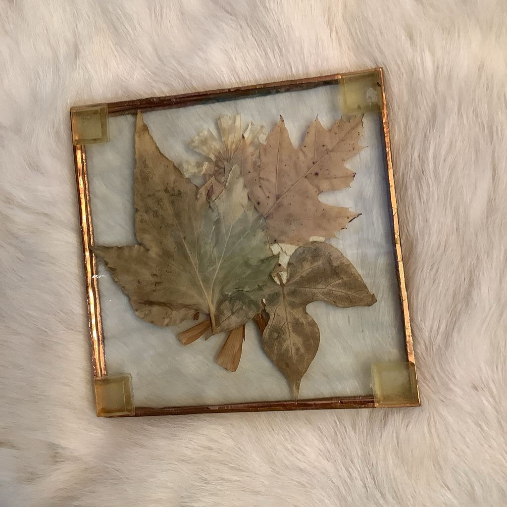 Pressed Flowers Coasters Set