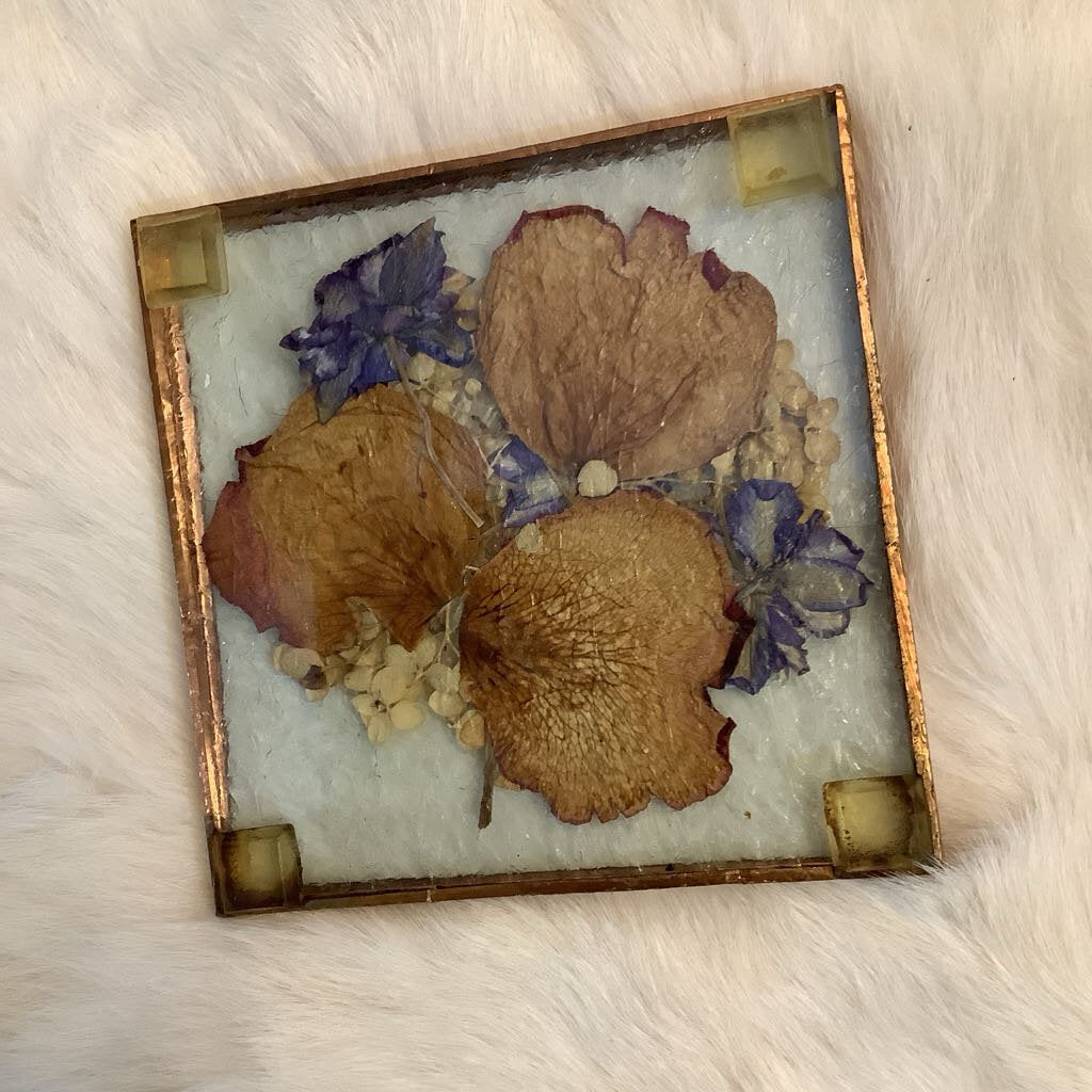 Pressed Flowers Coasters Set
