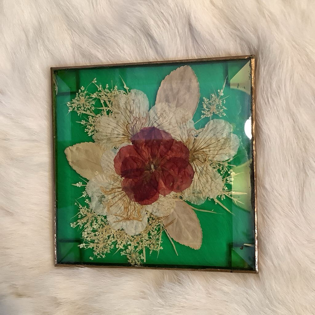 Pressed Flowers Coasters Set