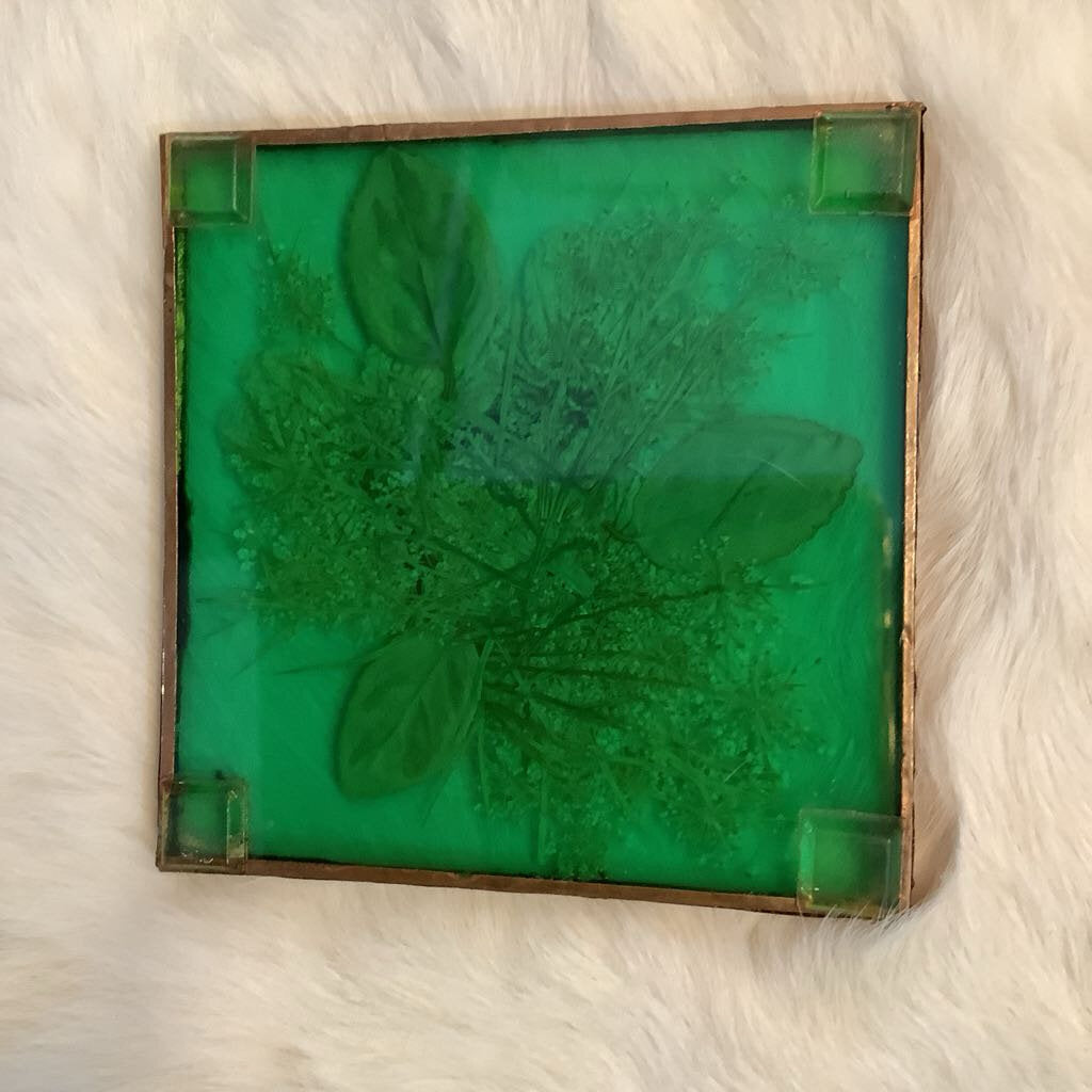 Pressed Flowers Coasters Set