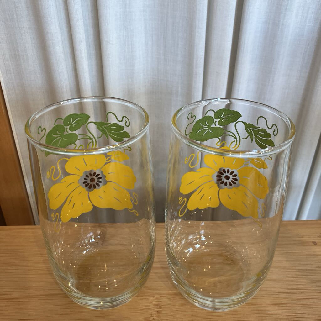 Vintage Morning Glory Poppy Tumber Set of 5