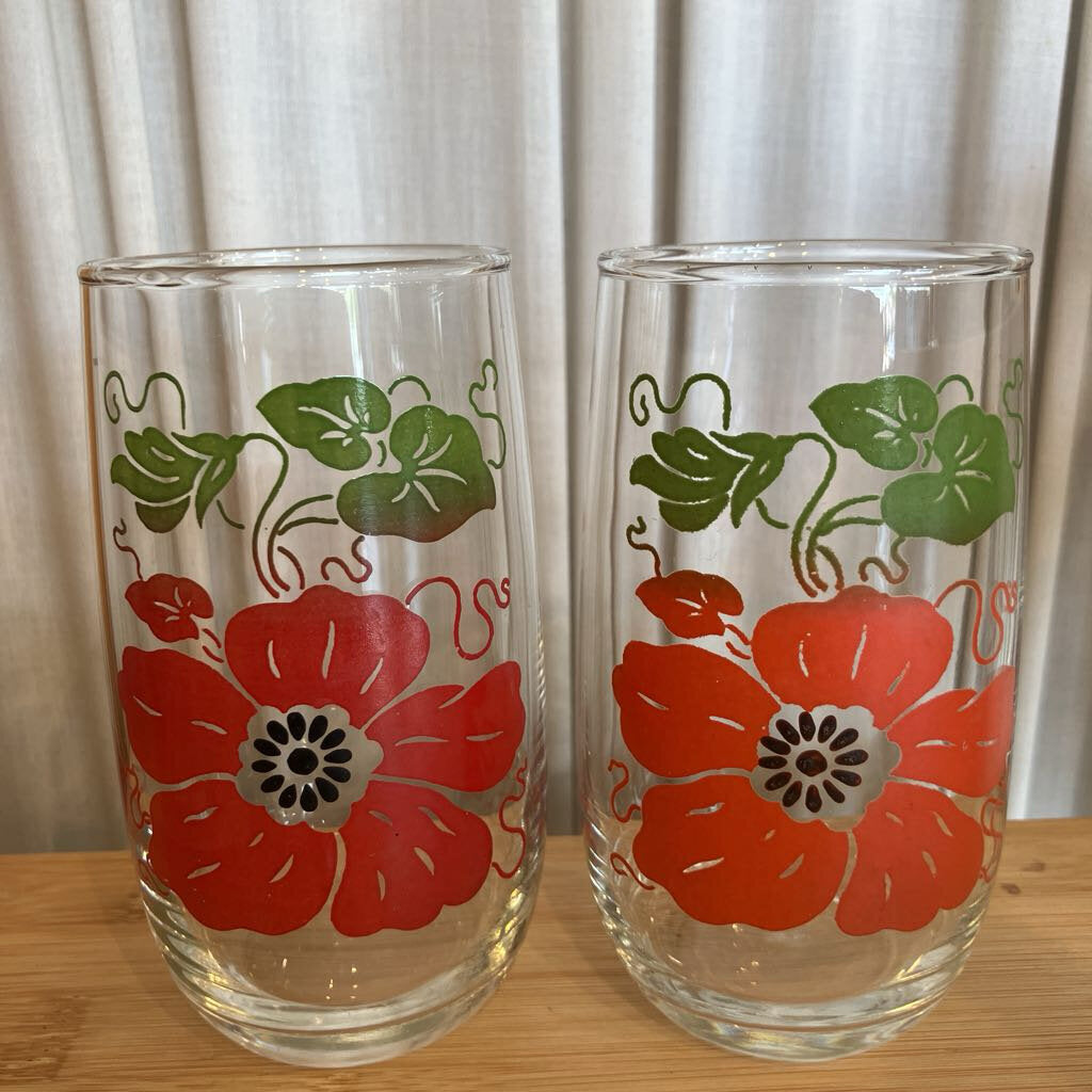 Vintage Morning Glory Poppy Tumber Set of 5