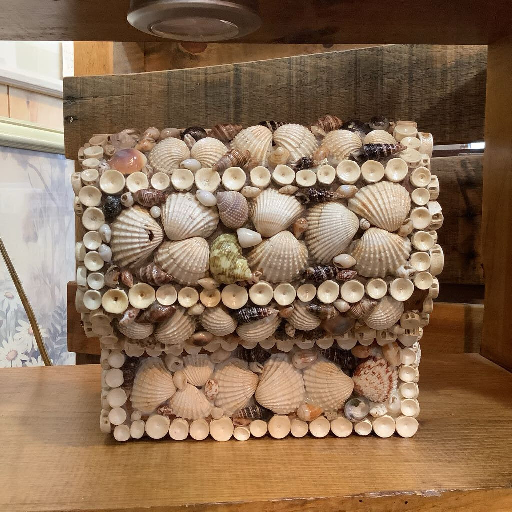 Vintage Shell Chest