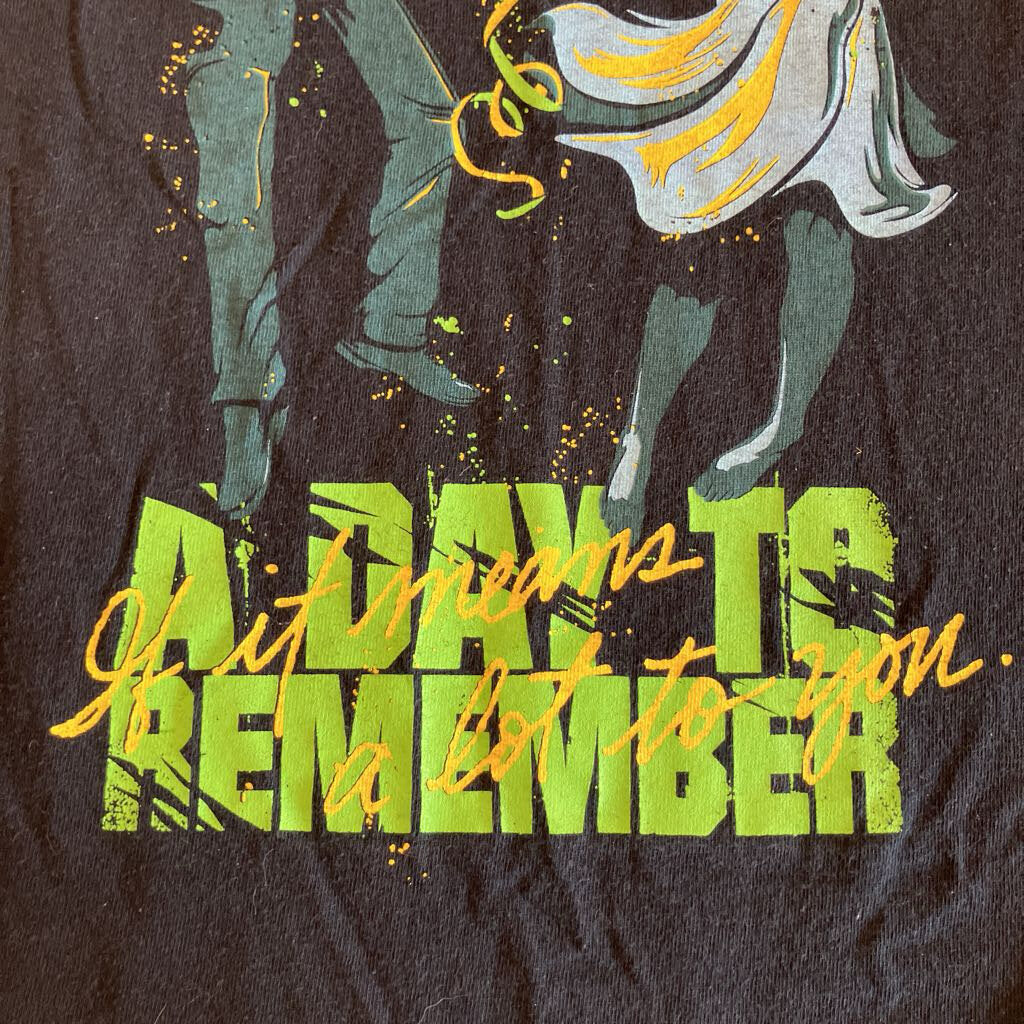 2009 A Day To Remember T-shirt
