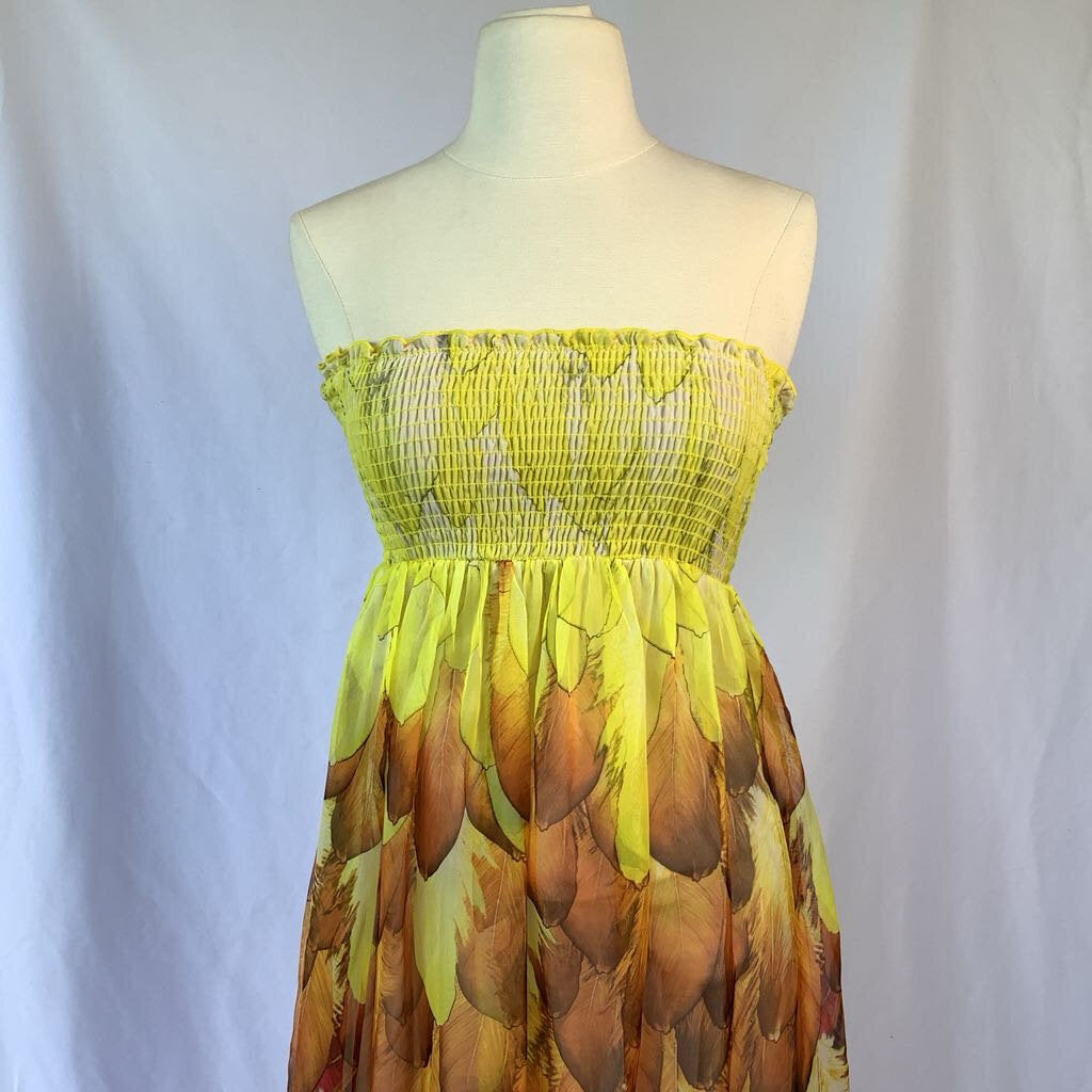 Gathered Top Strapless Dress Chiffon