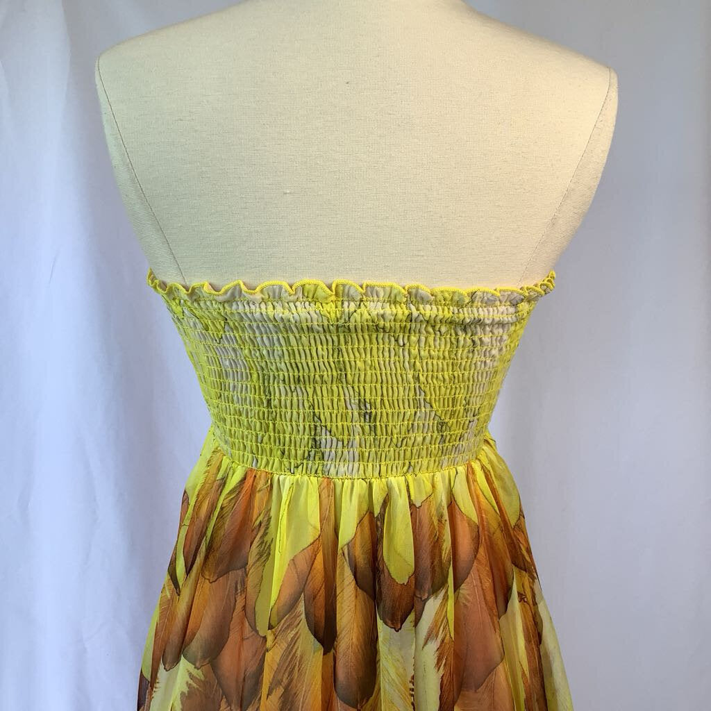 Gathered Top Strapless Dress Chiffon