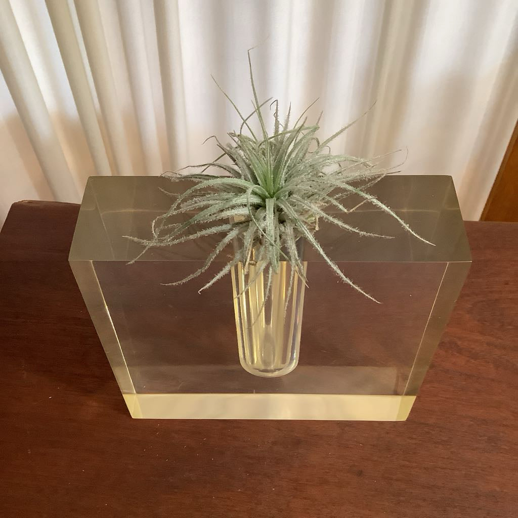 Mid Century Modern Large Lucite Bud Vase
