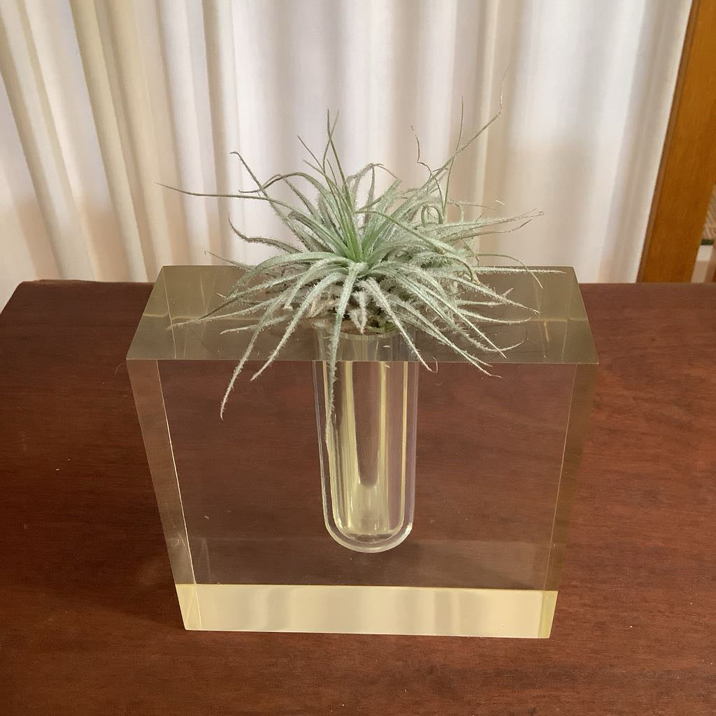 Mid Century Modern Small Lucite Bud Vase