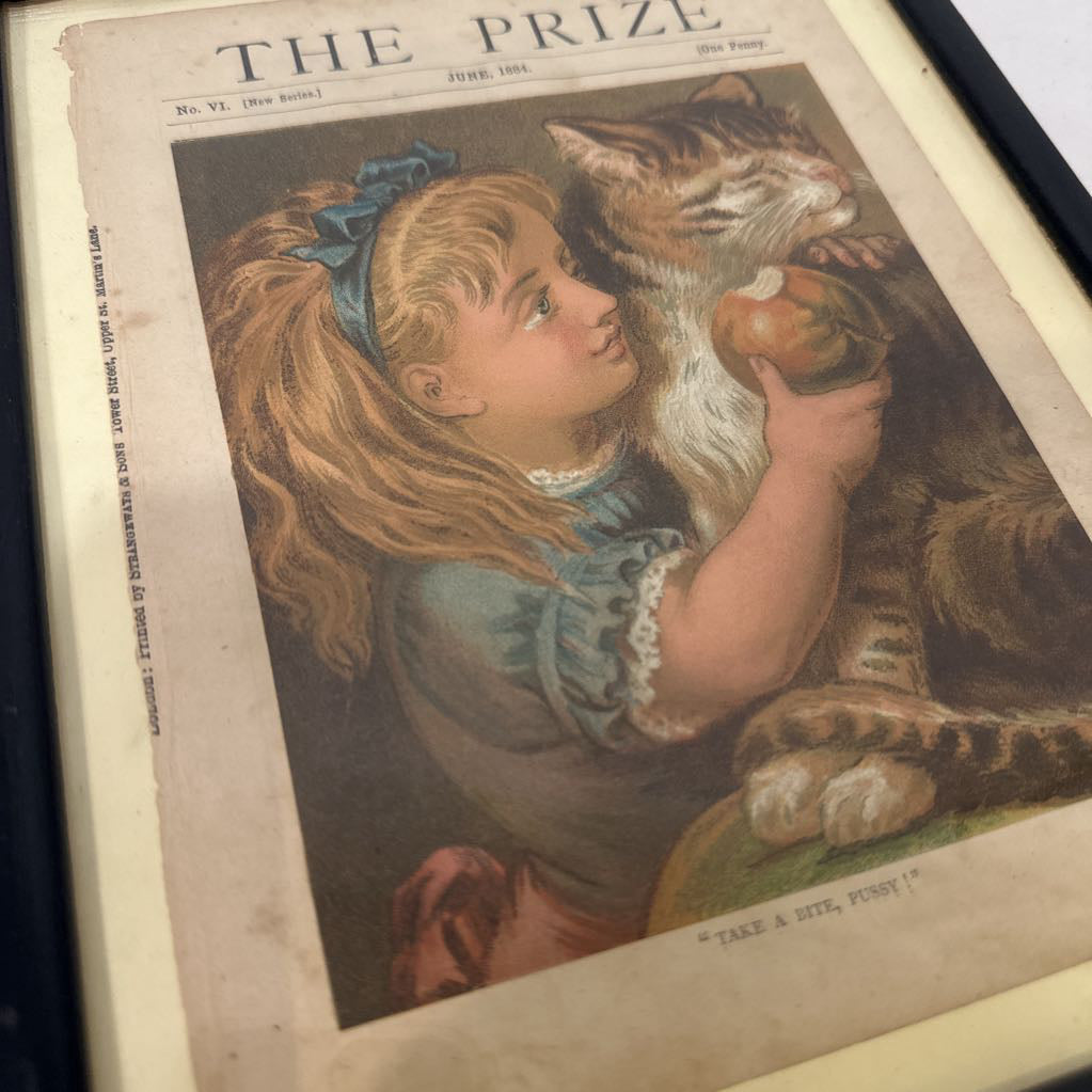 1884 The Prize Magazine Cover from UK