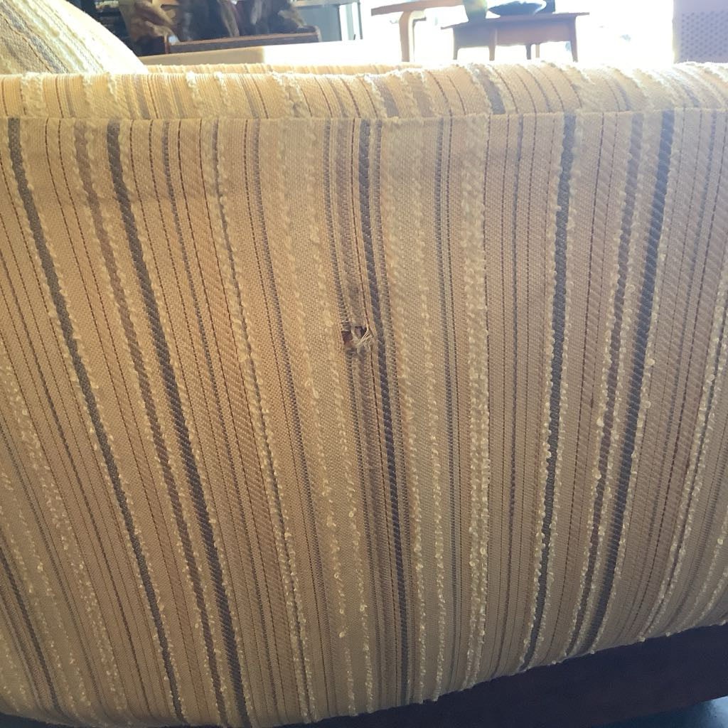Mid Century Modern Barrel Upholstered Chair w/ Wood Base