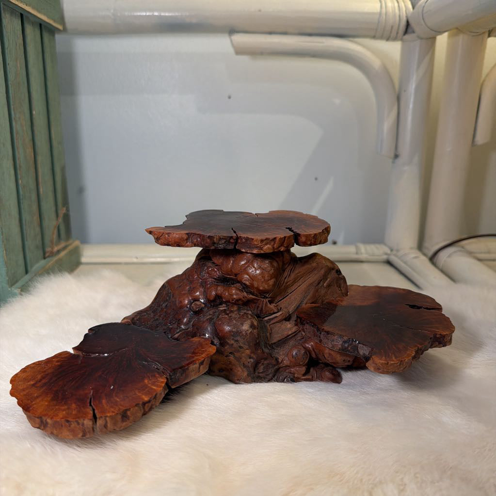 Wooden root-like structure on a white surface with a blurred background