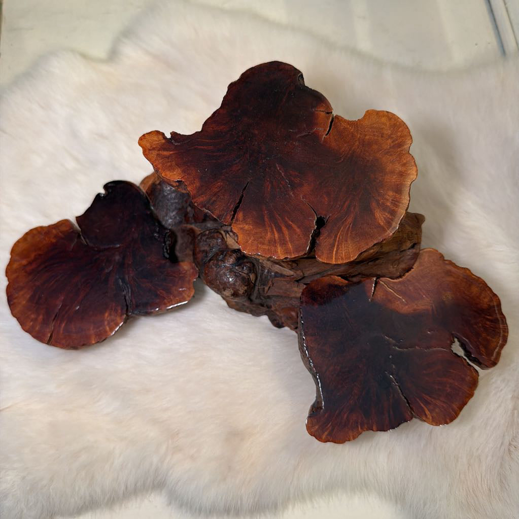 brown tree like stand on a white fabric background