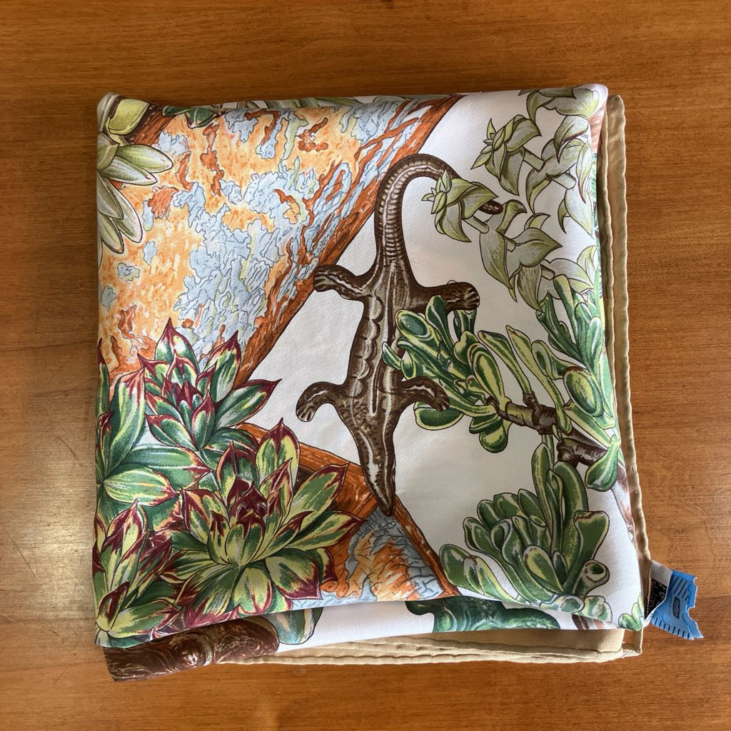 Authentic Vintage Hermes Silk "Jardin Secret" Scarf