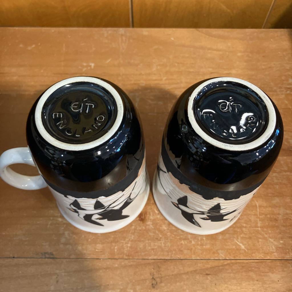 Vintage Set of 2 Swallowtail Kite Mugs