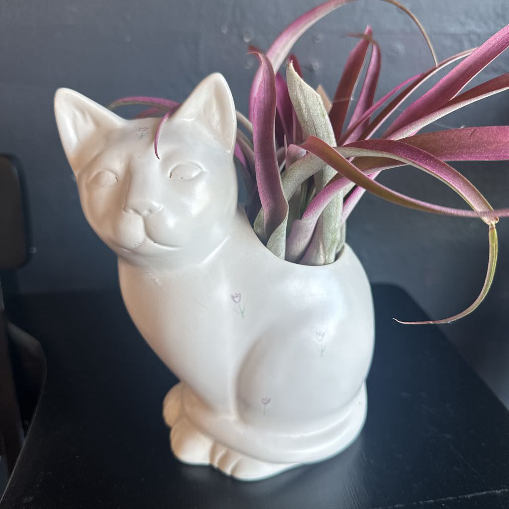 1989 White Ceramic Cat Planter w/ Decorative Tulips