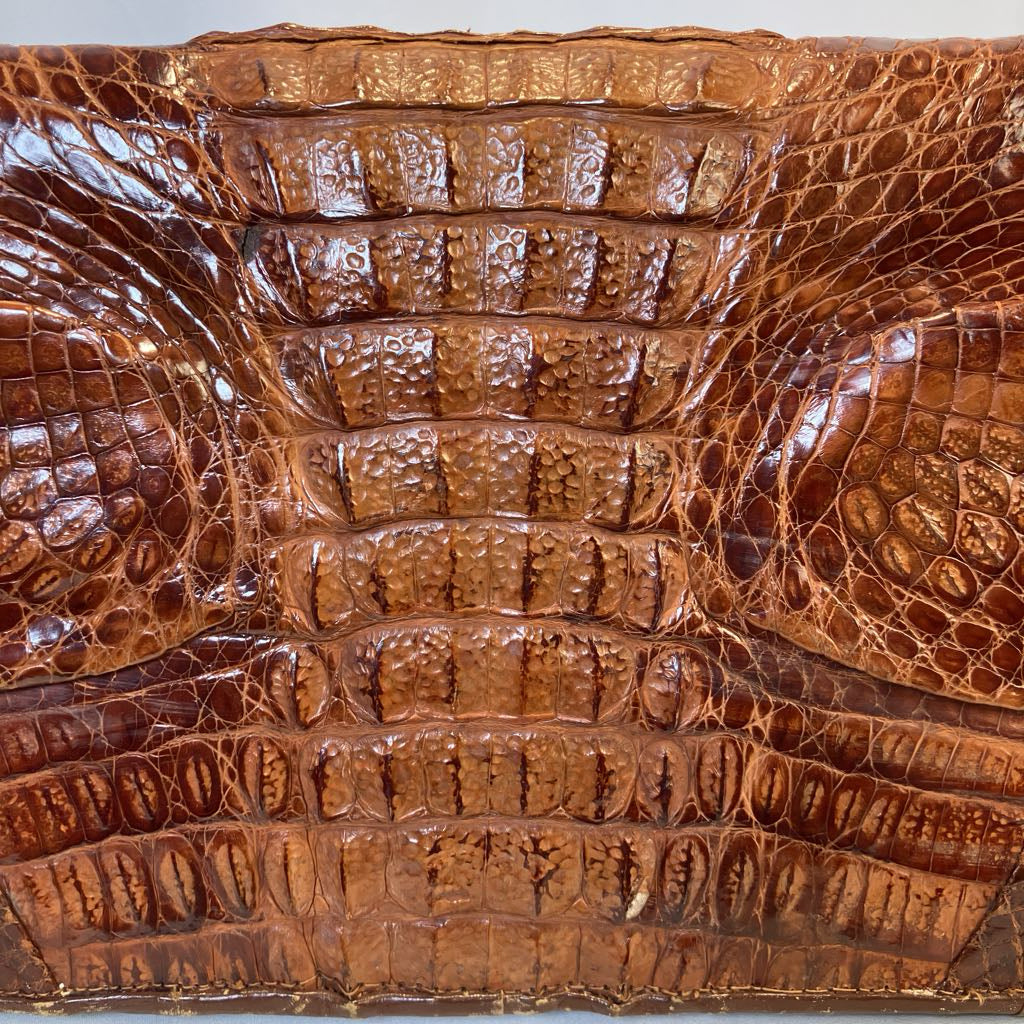 1950s Cognac Horn Back Alligator Skin Clutch