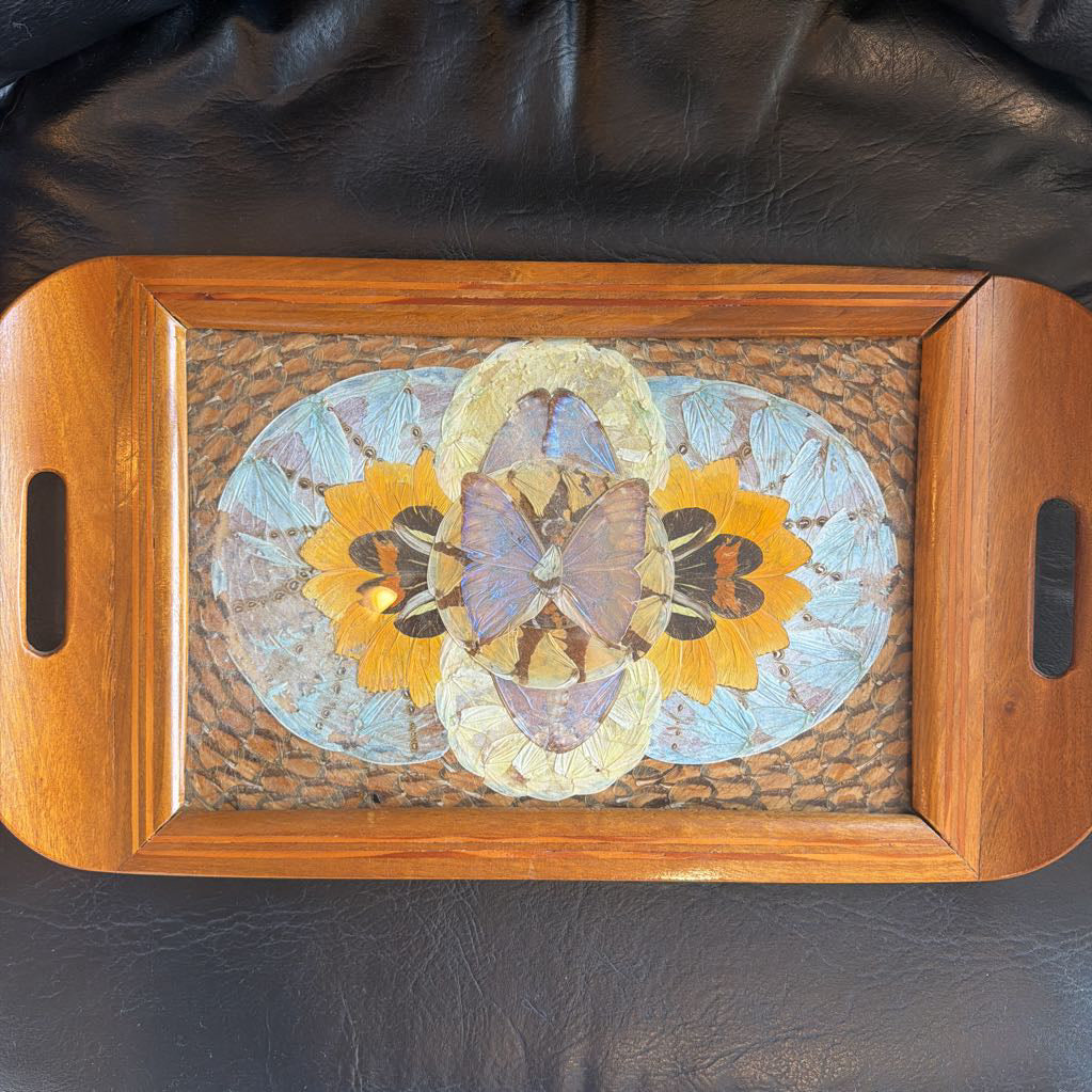Vintage Brazilian Wood Butterfly Tray