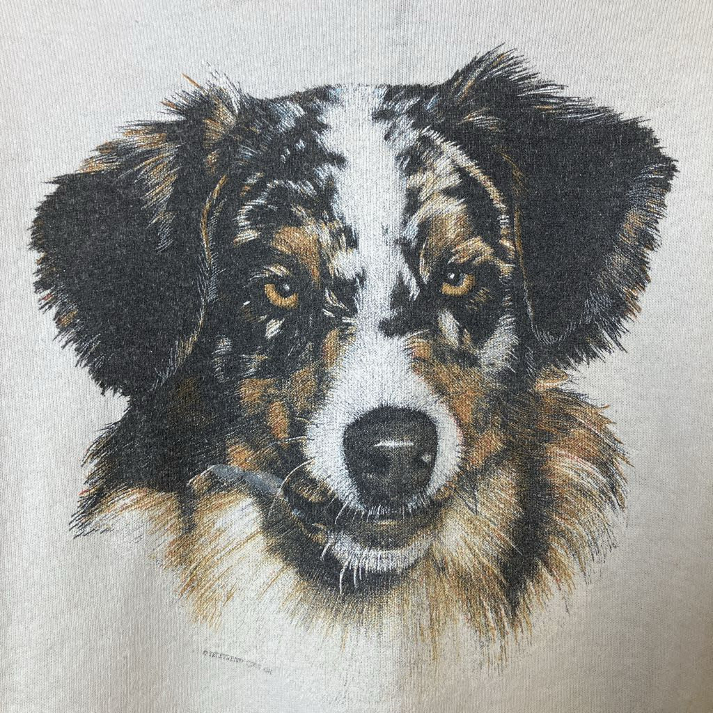 Dog's face with black, brown, and white fur on a light gray background