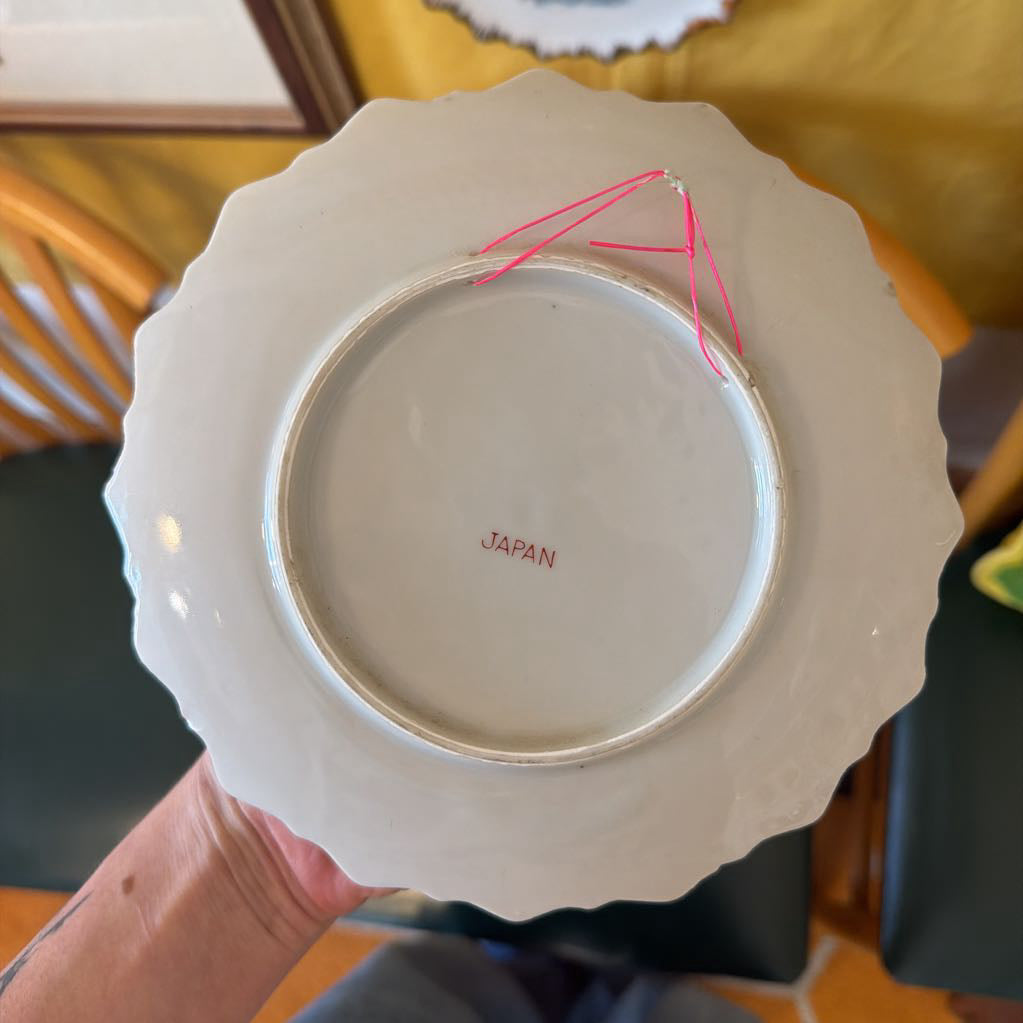 White ceramic plate with 'Japan' printed on it, held by a person.