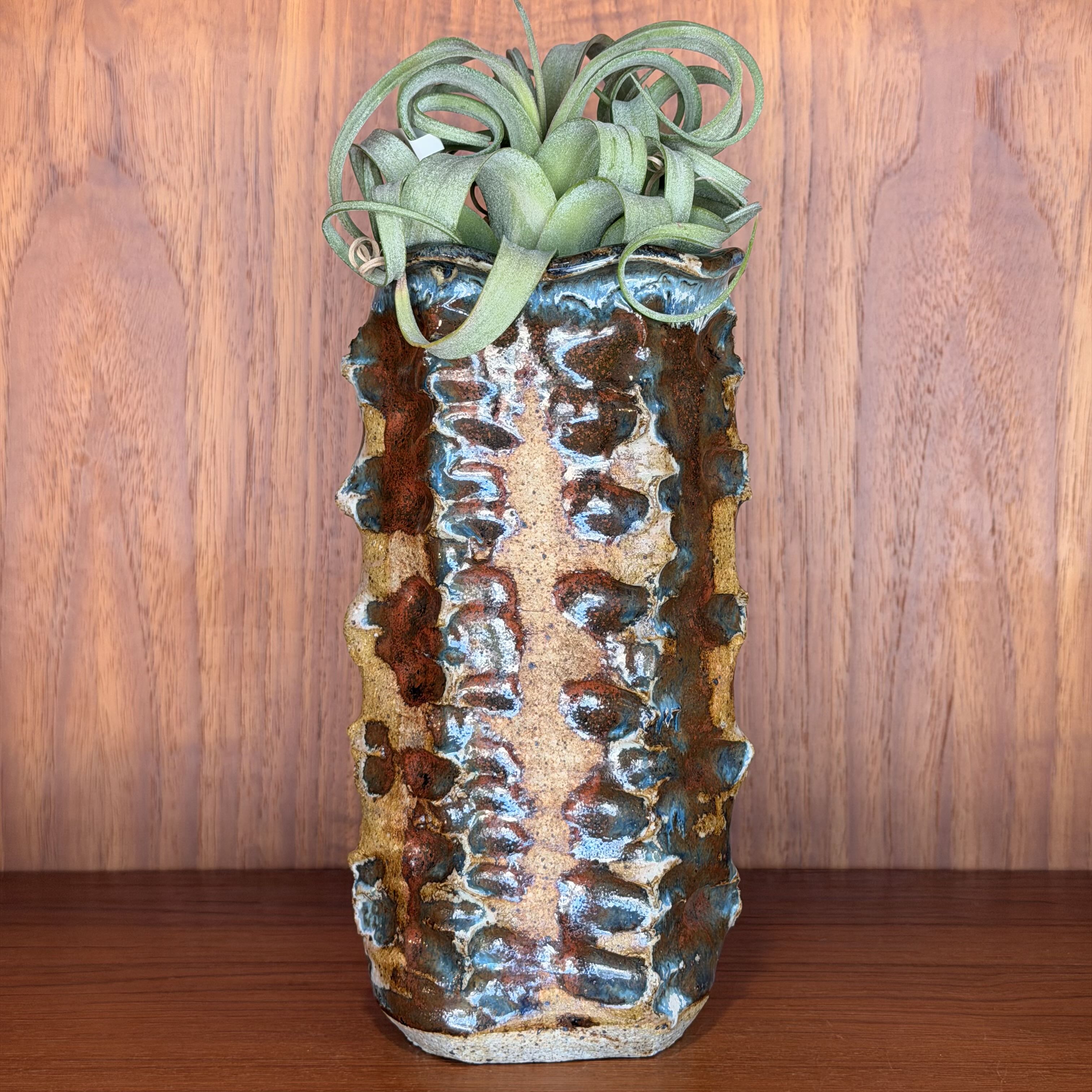Textured ceramic vase with plant against a wooden background