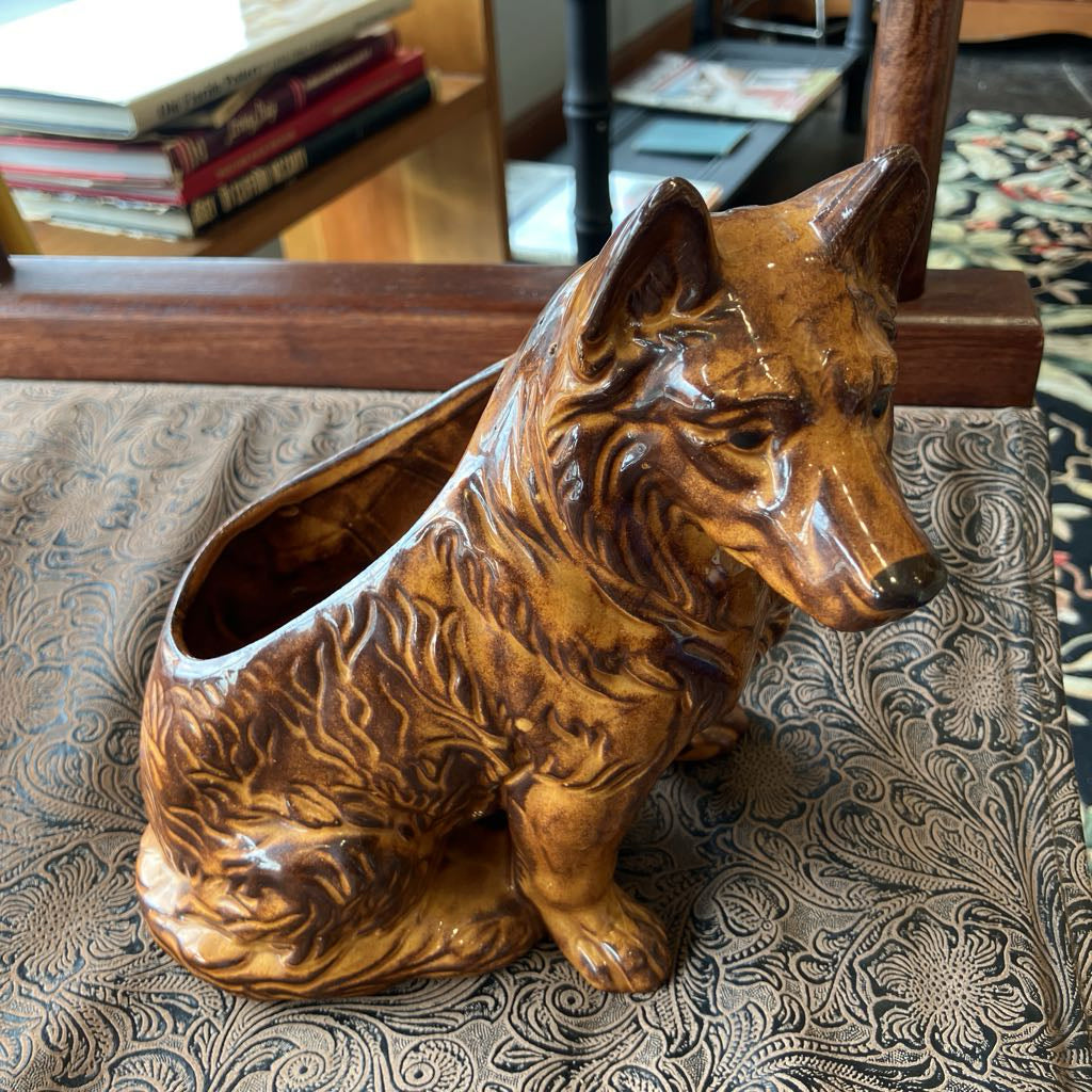 Wooden dog-shaped planter on a patterned surface with books in the background