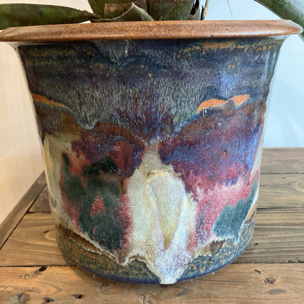 Plant in an abstract pot on a wooden table against a white wall