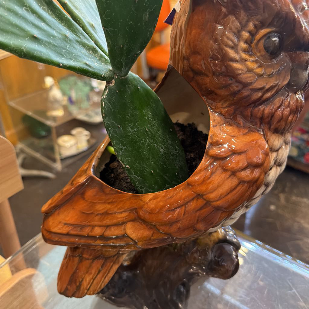 1970s Vintage Ceramic Owl Planter