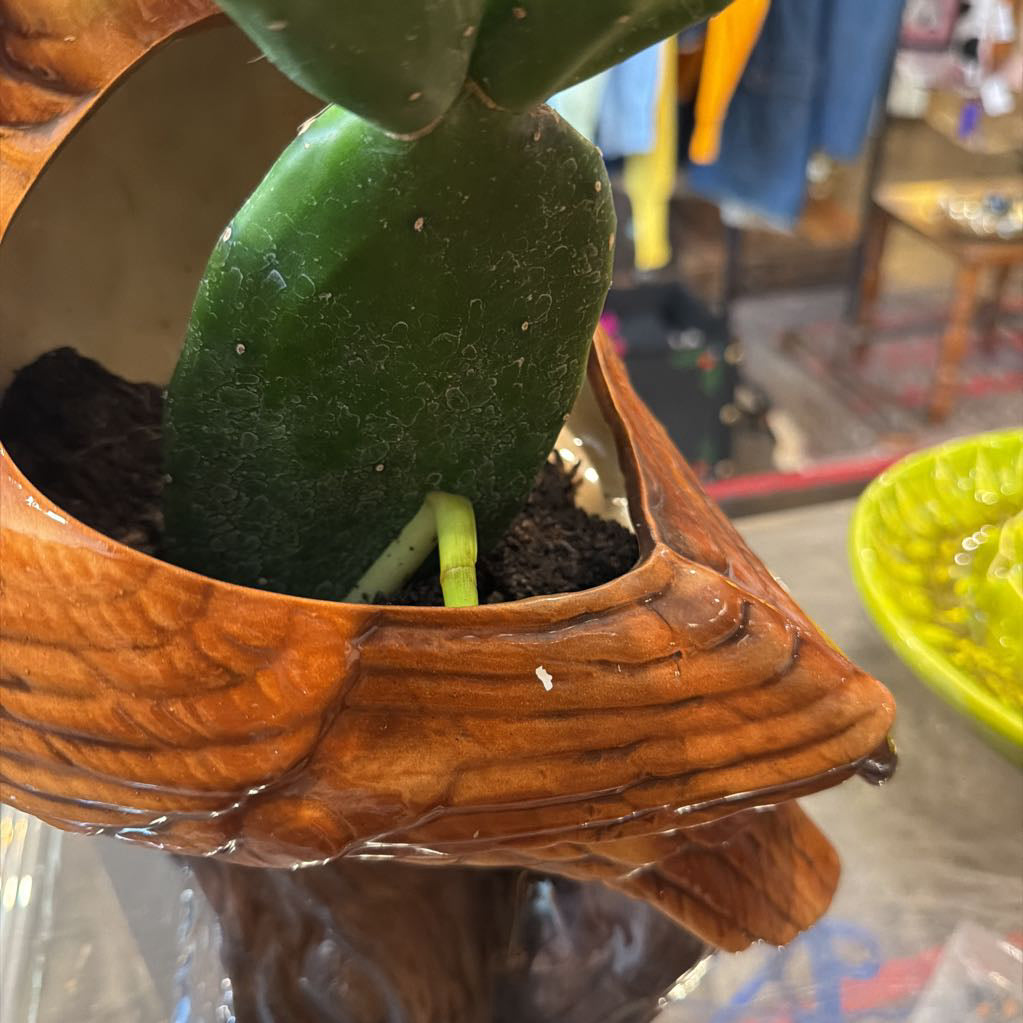 1970s Vintage Ceramic Owl Planter