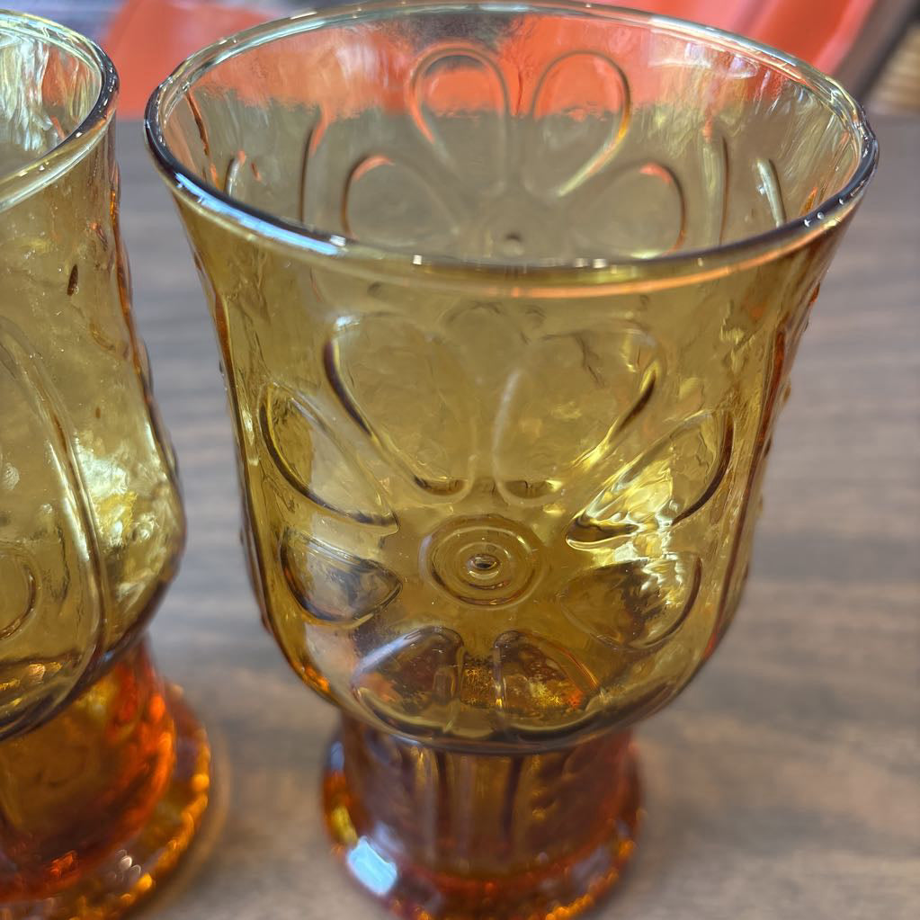 1970s Libbey Amber Country Garden Tumblers