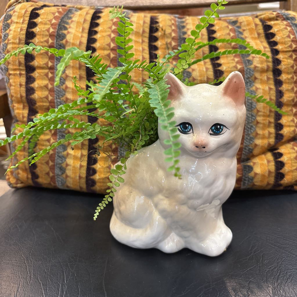 A white ceramic kitten with blue eyes and a fern plant inside It's sitting on a black leather seat with a cushion behind it.