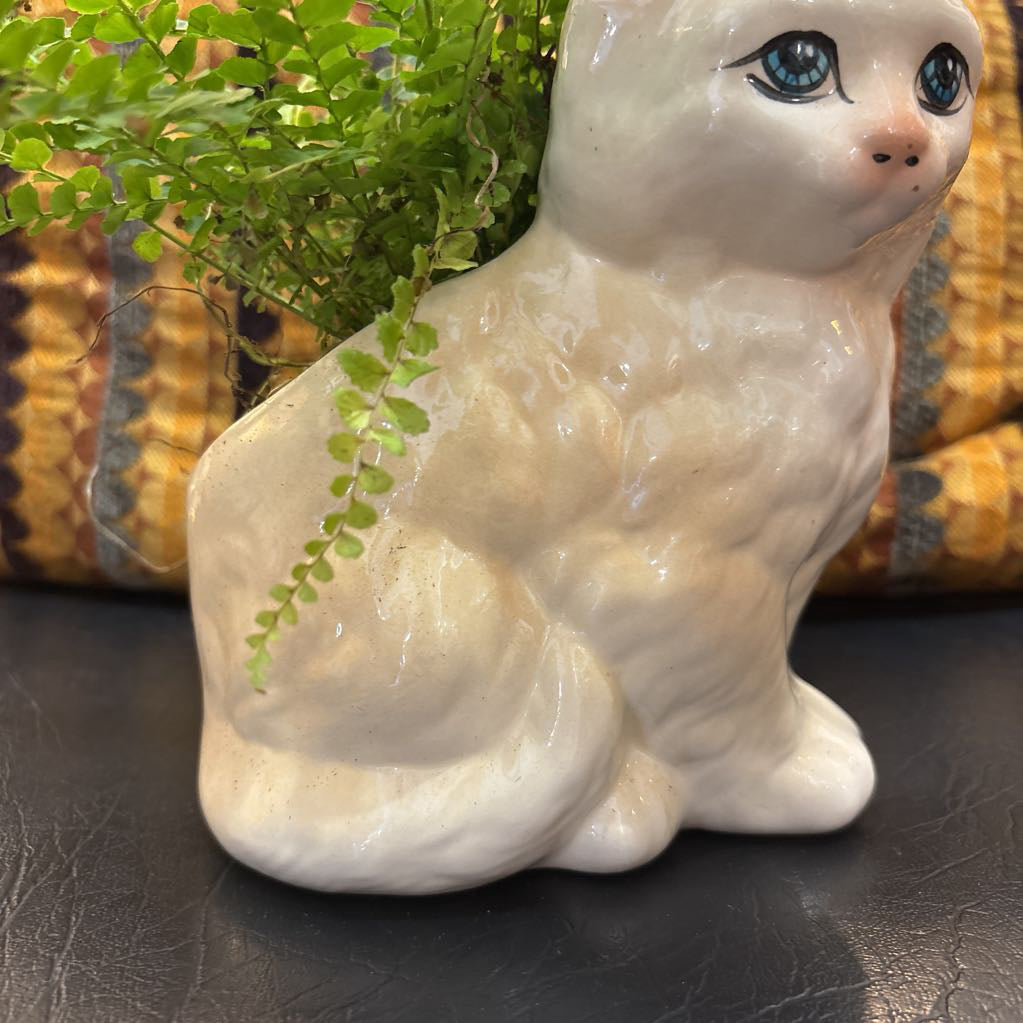 A white ceramic kitten with blue eyes and a fern plant inside It's sitting on a black leather seat with a cushion behind it.
