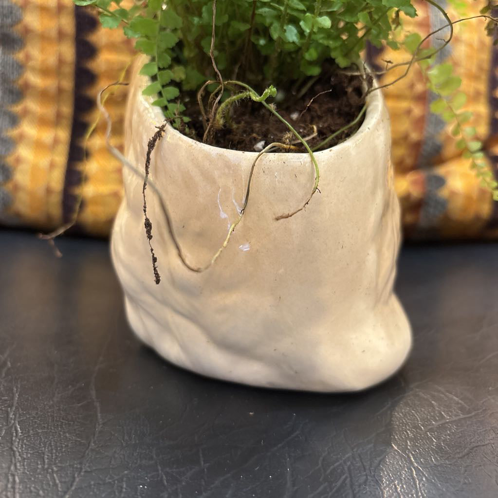 A white ceramic kitten with blue eyes and a fern plant inside It's sitting on a black leather seat with a cushion behind it.