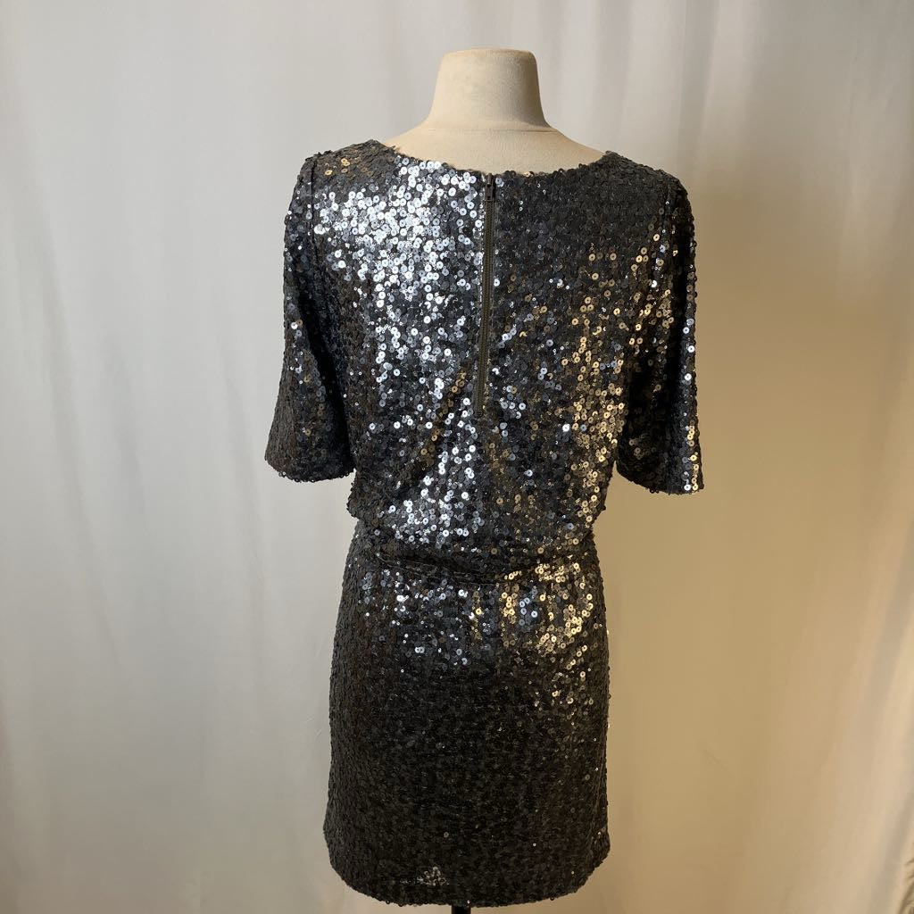 Sequin dress silver Sequin dress silver