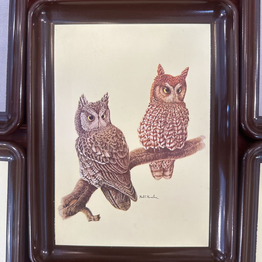 Set of 5 Vintage Karalus Owl trays