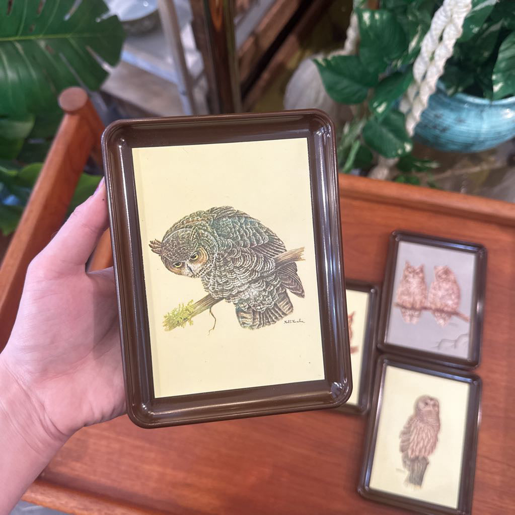 Set of 5 Vintage Karalus Owl trays